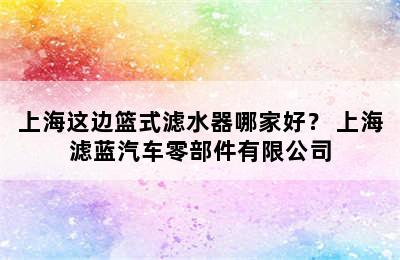 上海这边篮式滤水器哪家好？ 上海滤蓝汽车零部件有限公司